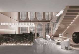 深圳优牌生物茶树精油加盟店